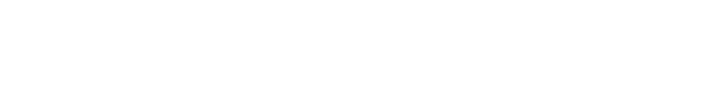 The MagnaFlow Group